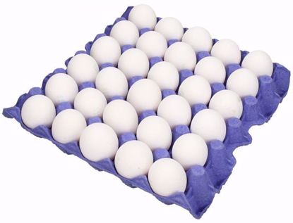 صورة NAIF 60-70 EGGS